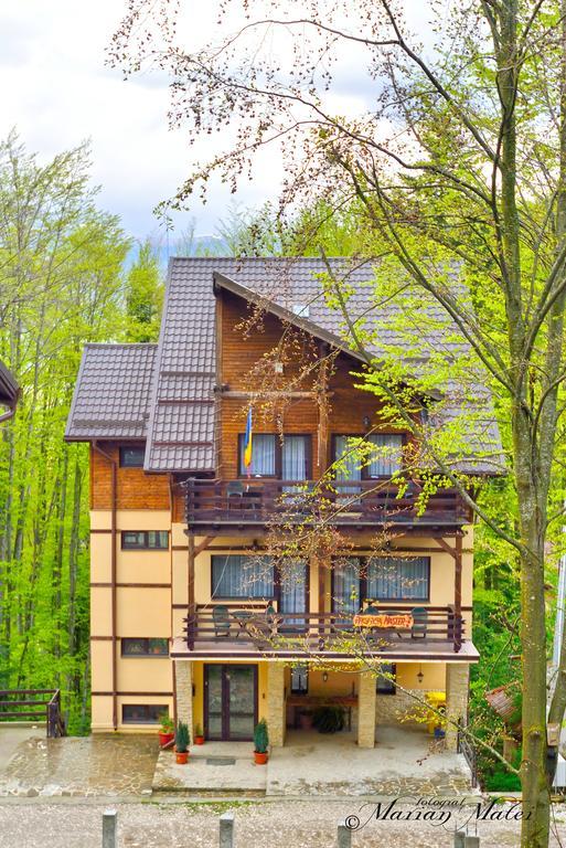 Pension Master Sinaia Luaran gambar