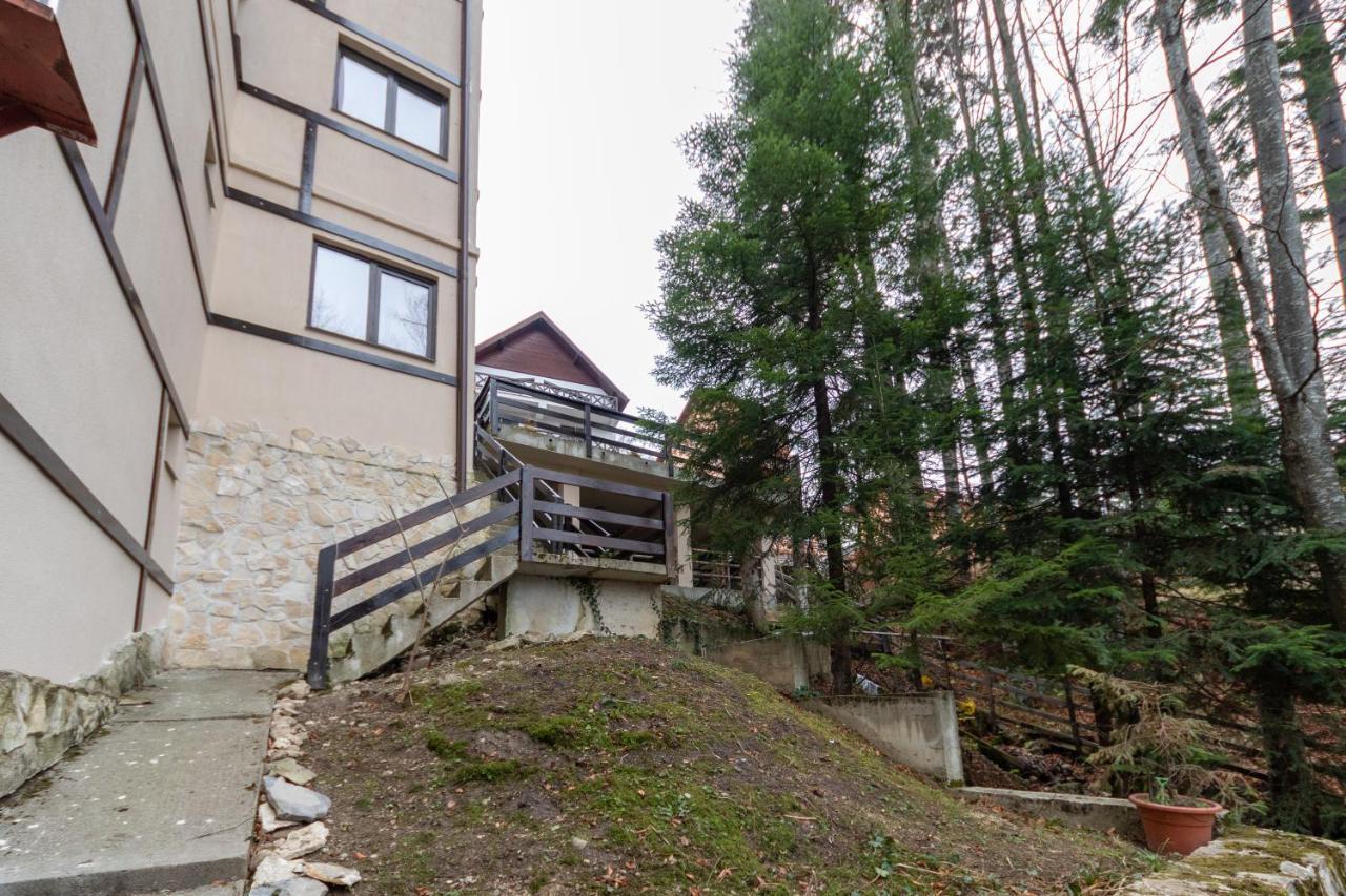 Pension Master Sinaia Luaran gambar